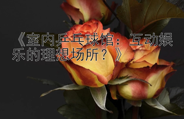 《室内乒乓球馆：互动娱乐的理想场所？》