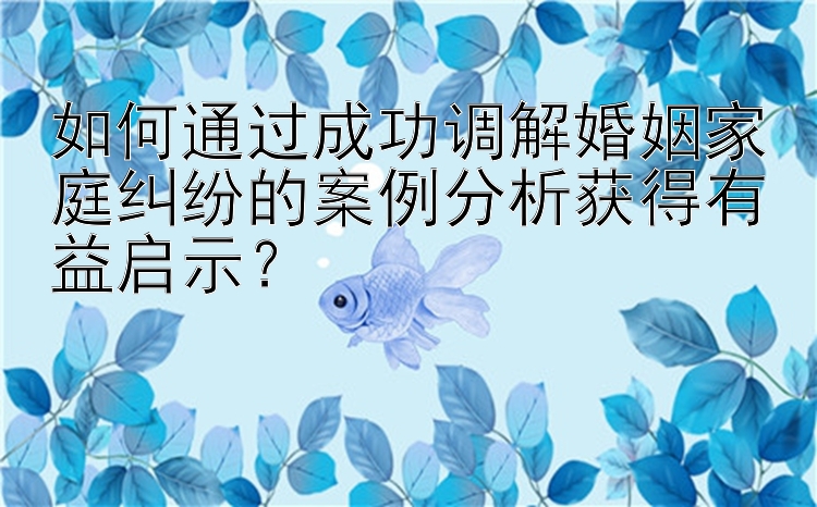 如何通过成功调解婚姻家庭纠纷的案例分析获得有益启示？