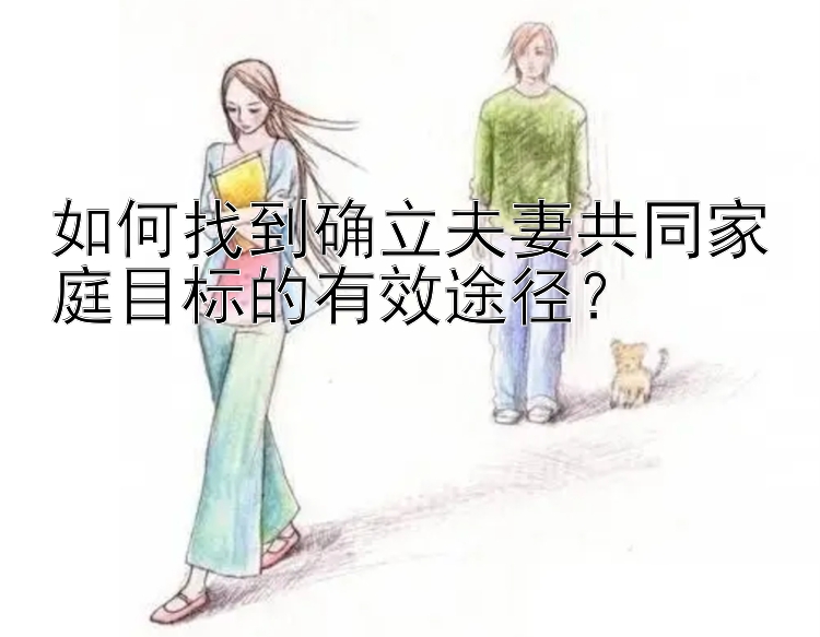 如何找到确立夫妻共同家庭目标的有效途径？