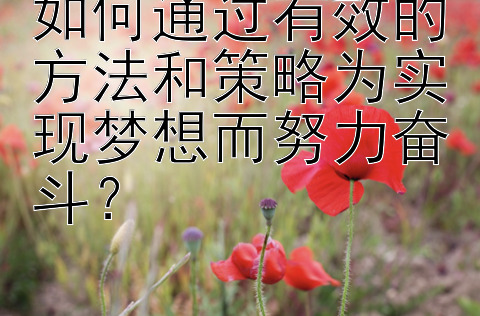 如何通过有效的方法和策略为实现梦想而努力奋斗？