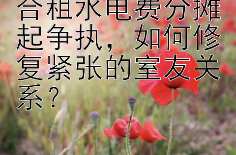 合租水电费分摊起争执，如何修复紧张的室友关系？