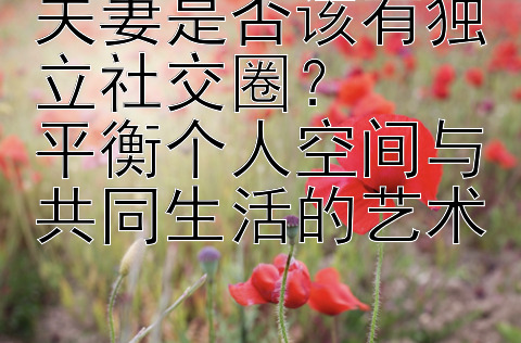 夫妻是否该有独立社交圈？  
平衡个人空间与共同生活的艺术