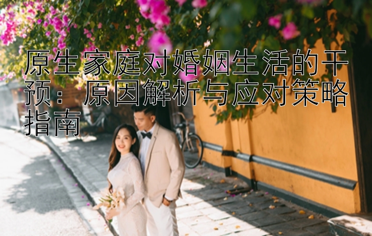 原生家庭对婚姻生活的干预：原因解析与应对策略指南